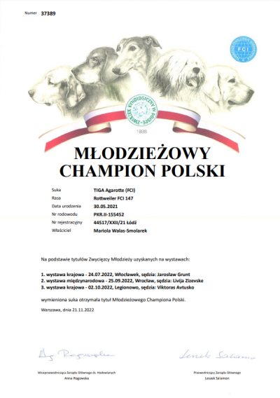 Młodzieżowy Champion Polski