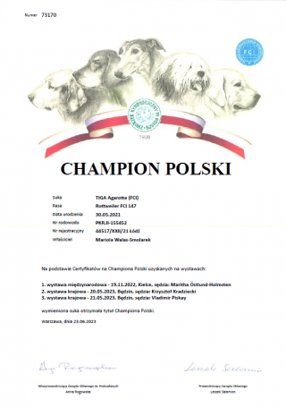 TIGA Agarotte - Champion Polski